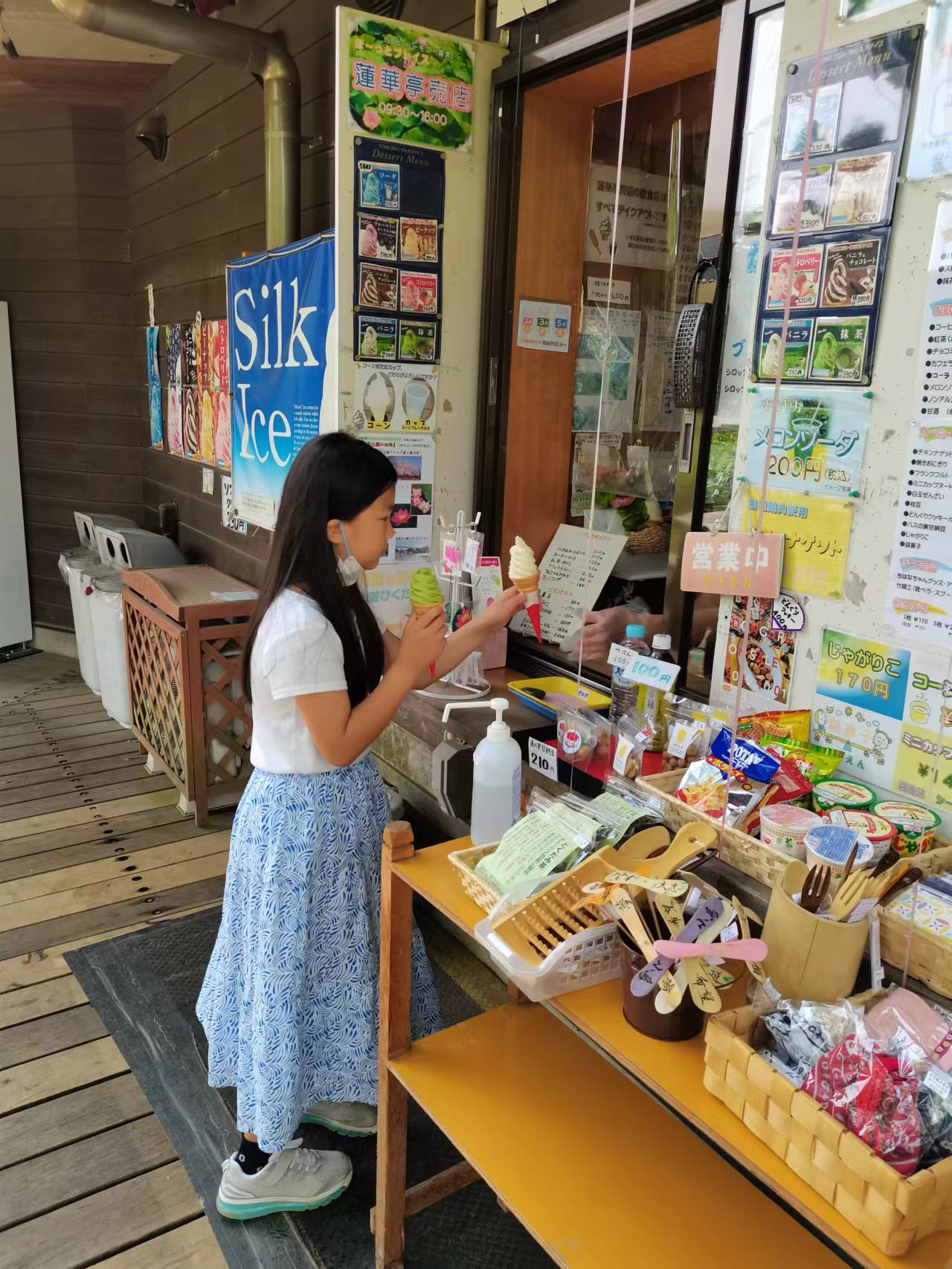 千葉公園の蓮（ハス）鑑賞１