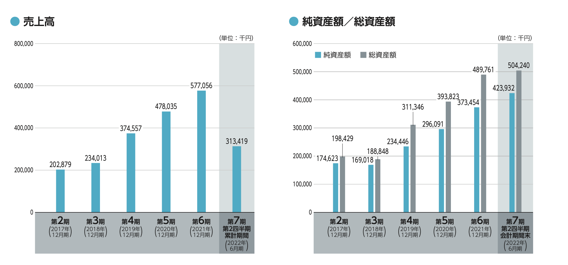 株式売出届出目論見書：5039